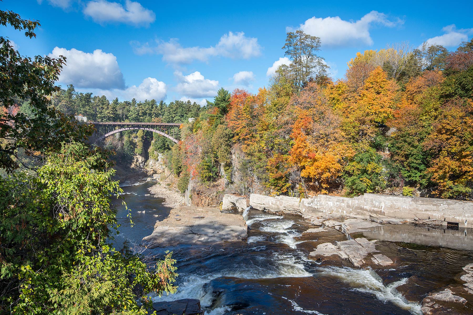 The Adirondack Coast GoNorth!